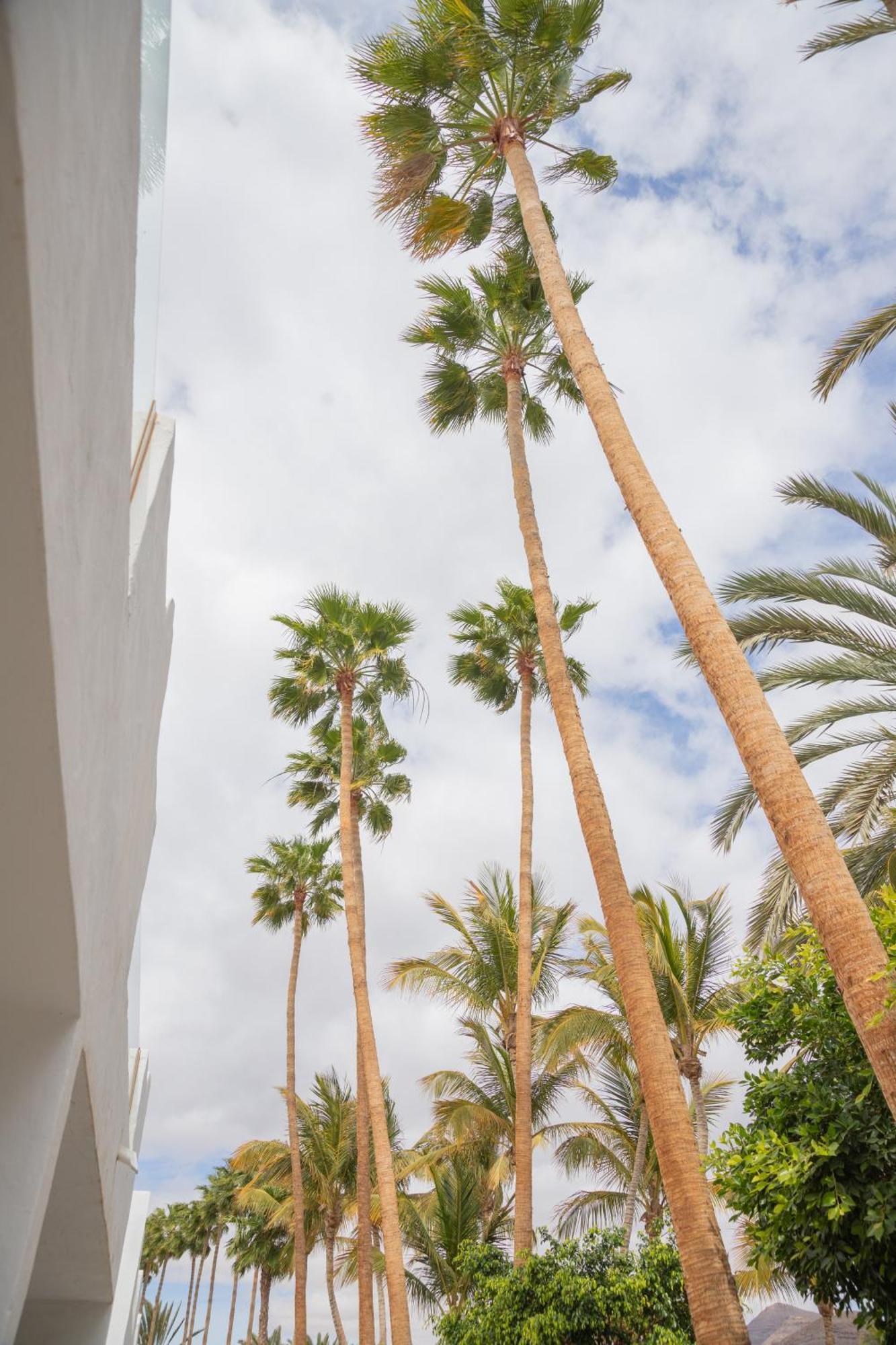 Palm Beach Fuerteventura 타라할레호 외부 사진