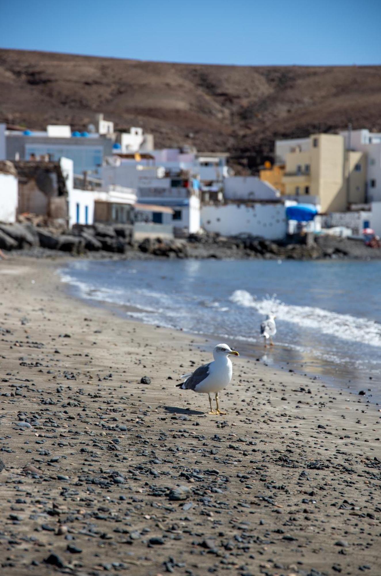 Palm Beach Fuerteventura 타라할레호 외부 사진